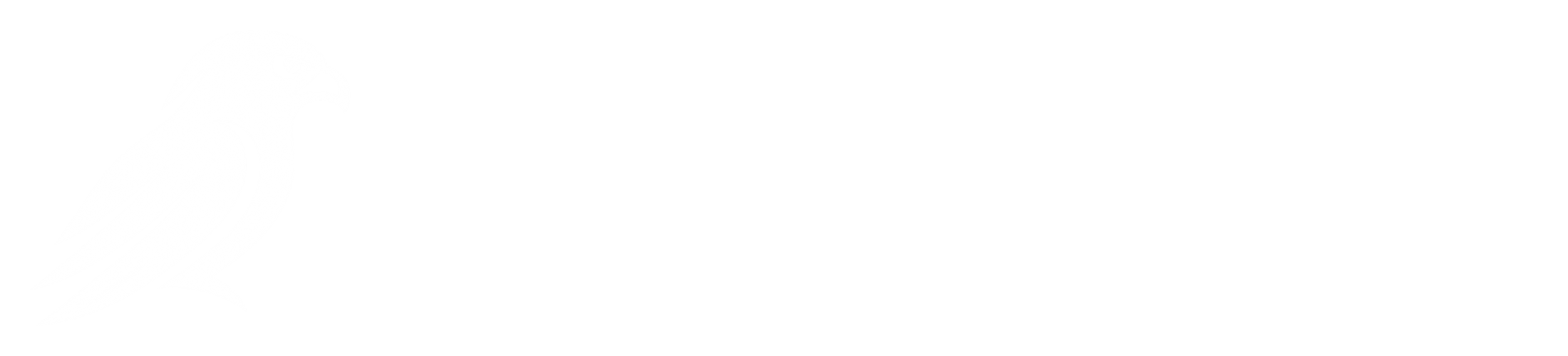 はやぶさ法人税申告書作成サービス｜freee会計利用者様のための法人税申告書作成サービス
