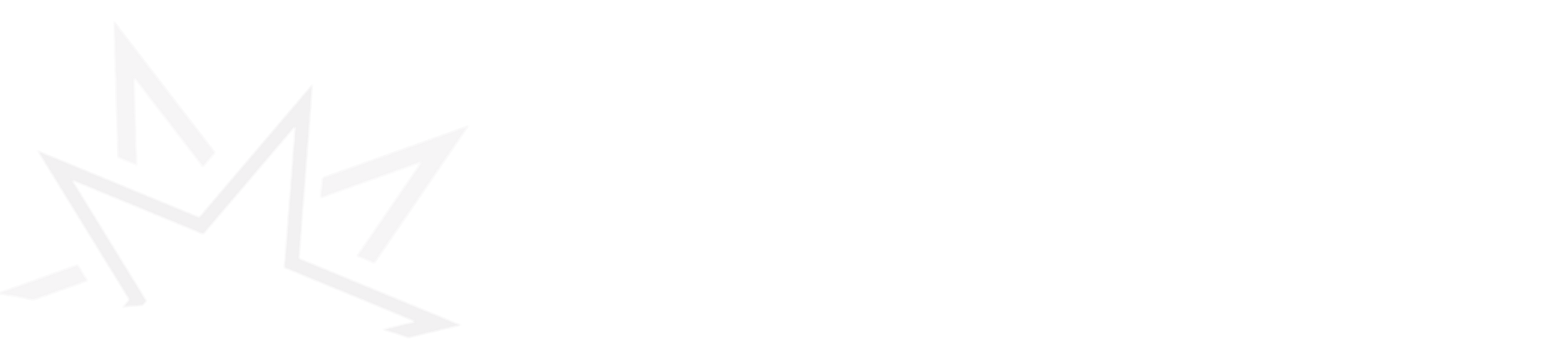 新星パートナーズ会計事務所～クラウド会計により迅速で効率的な会計を支援する東京都町田市の会計事務所・税理士事務所～